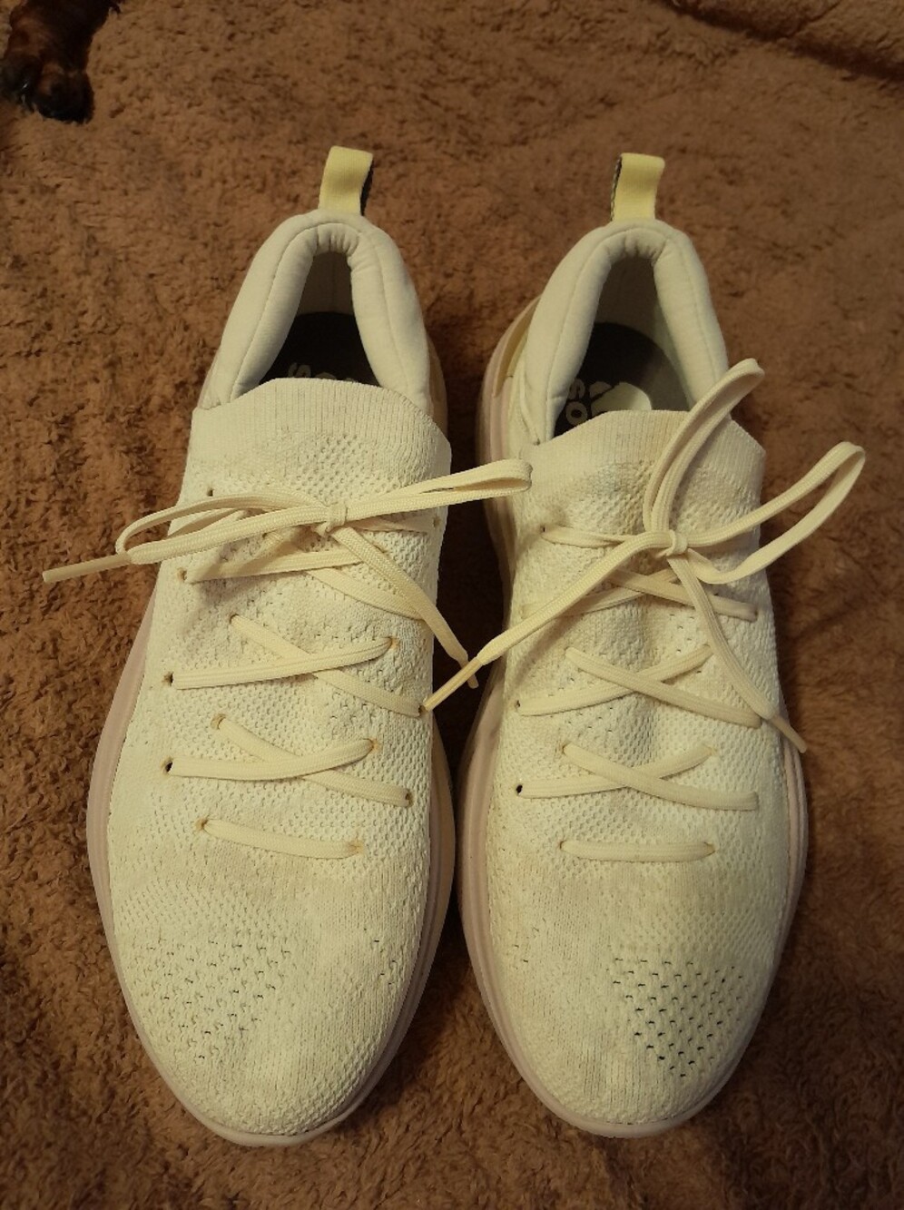 SOREL Kinetic Impact Lace Sneakers Women’s US 8.5